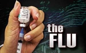 The Flu MGN graphic