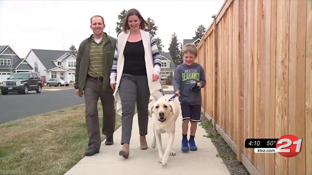 It took some time, but rescued dog Nash is thriving with his new family and 'working' as a therapy dog