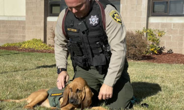 New DCSO bloodhound and partner