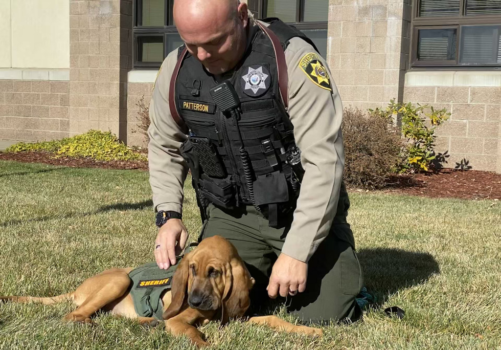 New DCSO bloodhound and partner