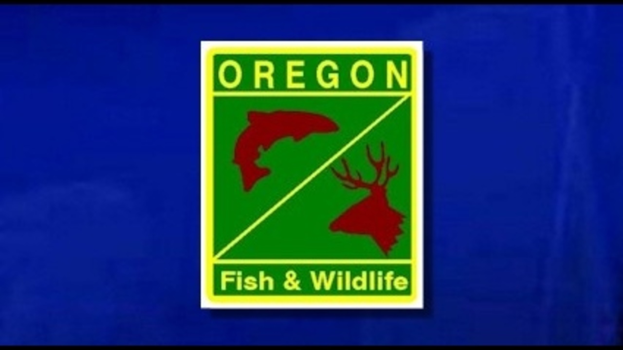 General Statewide Regulations - Oregon Fishing