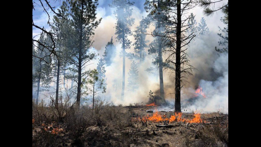 Prescribed burn west of Sunriver COFMS