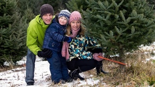 Family cutting down Christmas tree