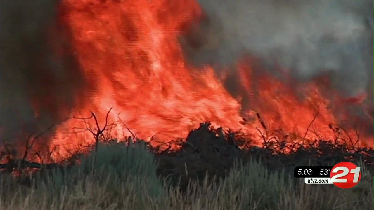 Oregon Council Predicts Wildfire Costs To Hit Tens Of Billions Ktvz