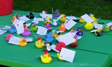 Looking for some kind messages? You might find them in Kenmore. Students wrote messages on rubber ducks and hid them in the village in hopes of brightening someone's day.