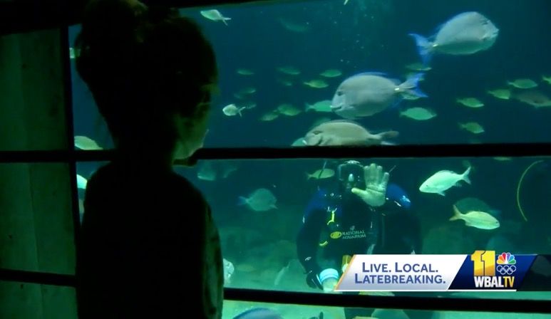 <i>WBAL via CNN Newsource</i><br/>One of the National Aquarium's longest-standing volunteers