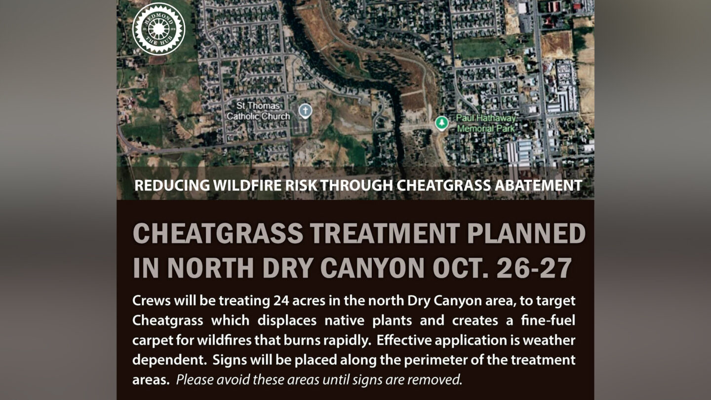 Invasive cheatgrass treatment scheduled for 24 acres of Dry Canyon
