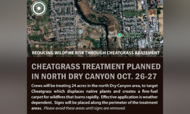 Invasive cheatgrass treatment scheduled for 24 acres of Dry Canyon