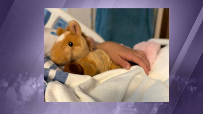 Central Oregon Strong: Mom of 7-year-old Silver Rail shooting survivor thanks community for support