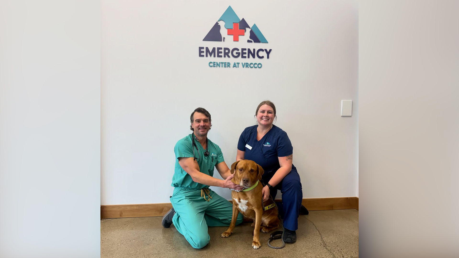 BrightSide Animal Center pets receive free microchips thanks to community partne...