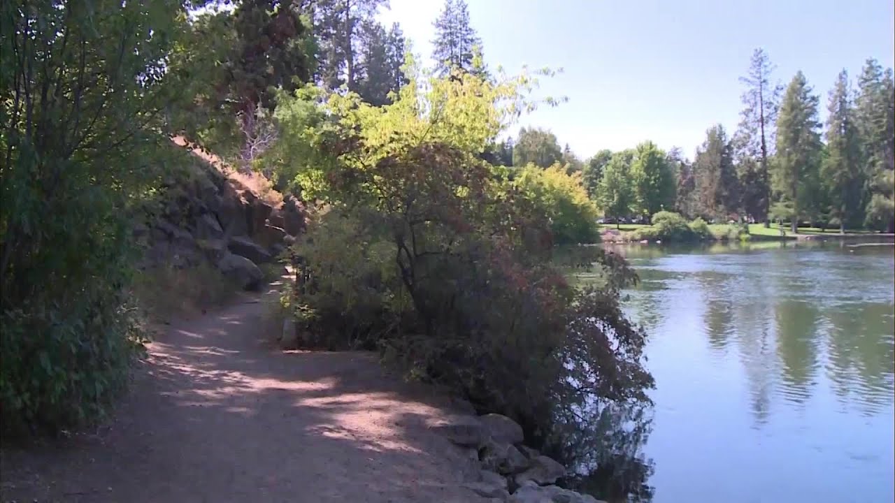 youtube placeholder image