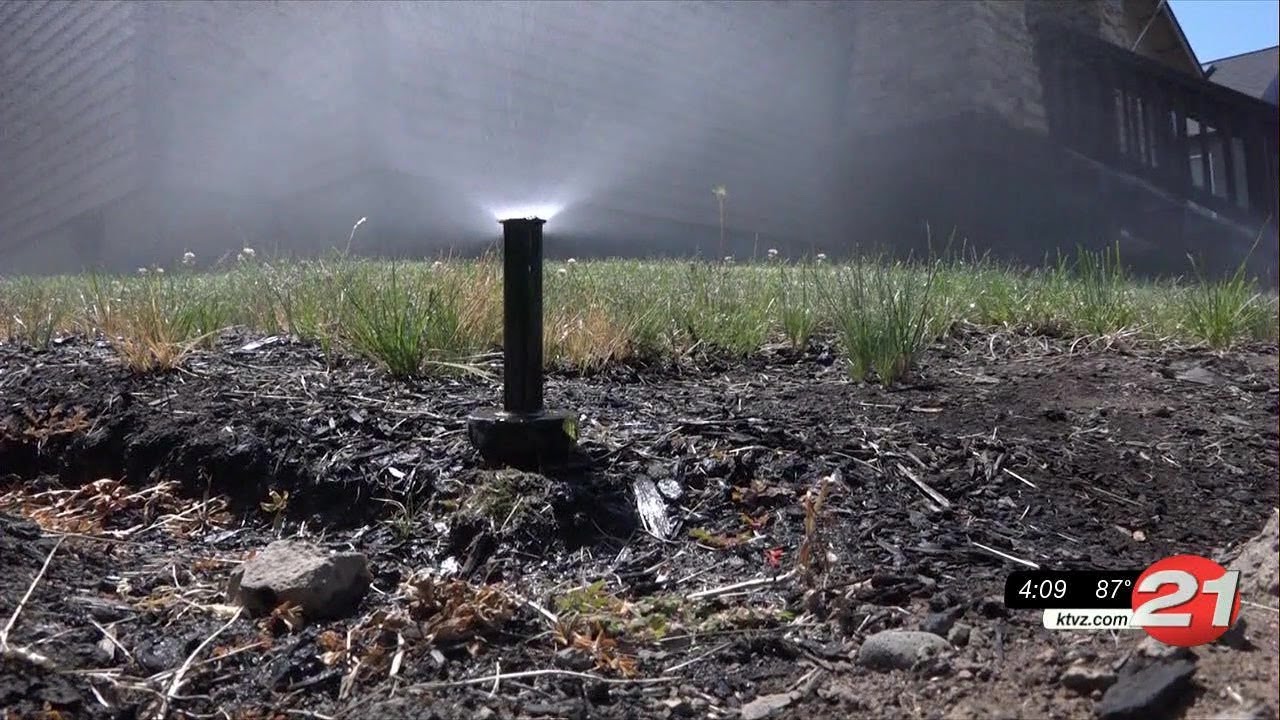 youtube placeholder image
