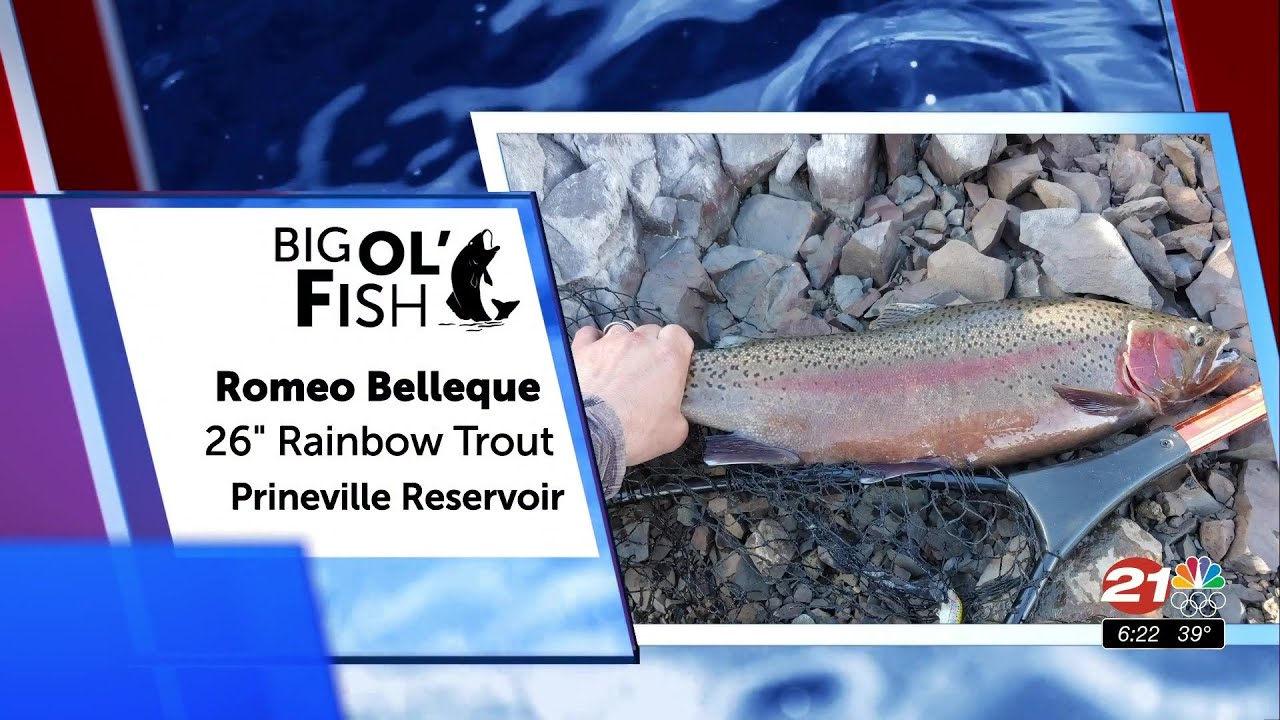 youtube placeholder image
