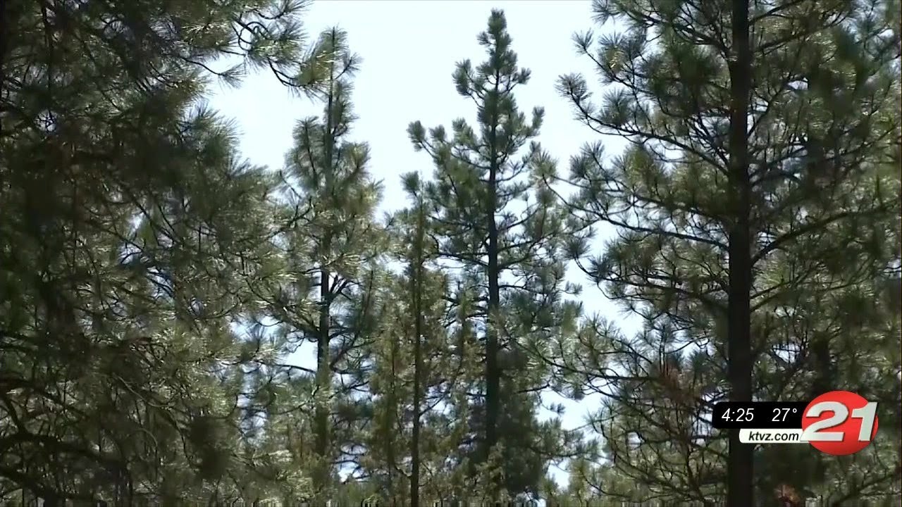 youtube placeholder image