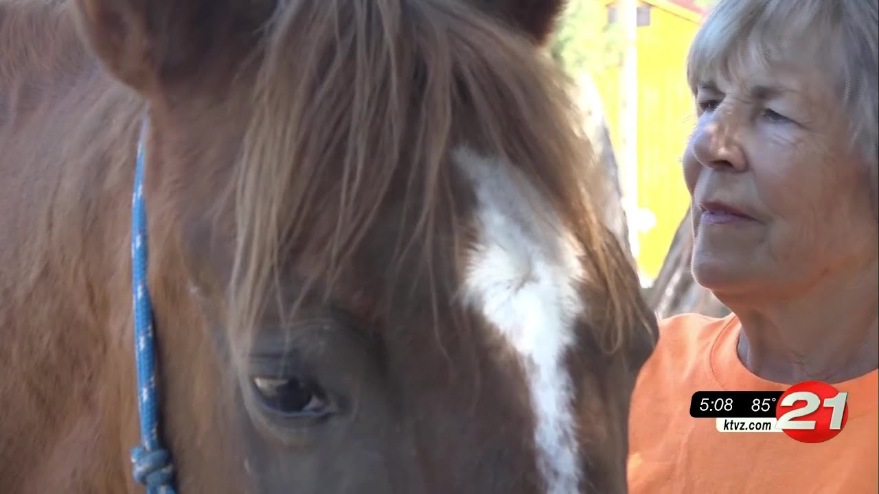 youtube placeholder image