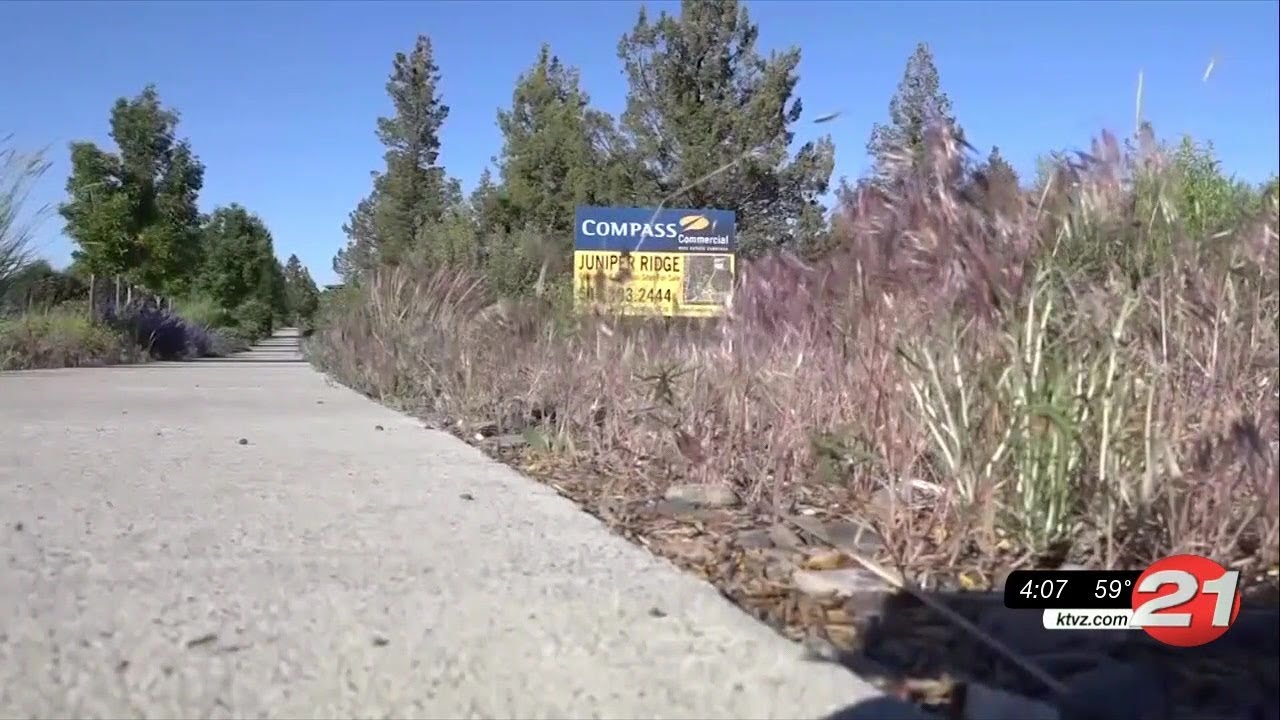 youtube placeholder image