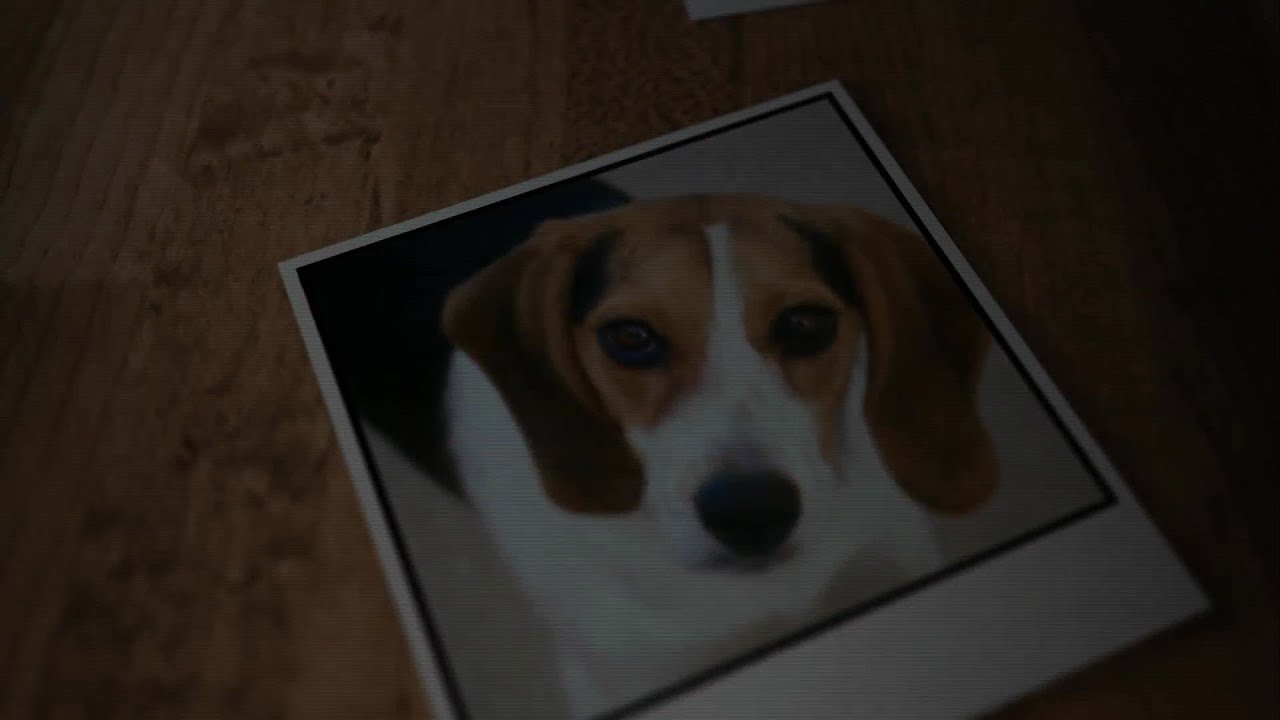 youtube placeholder image
