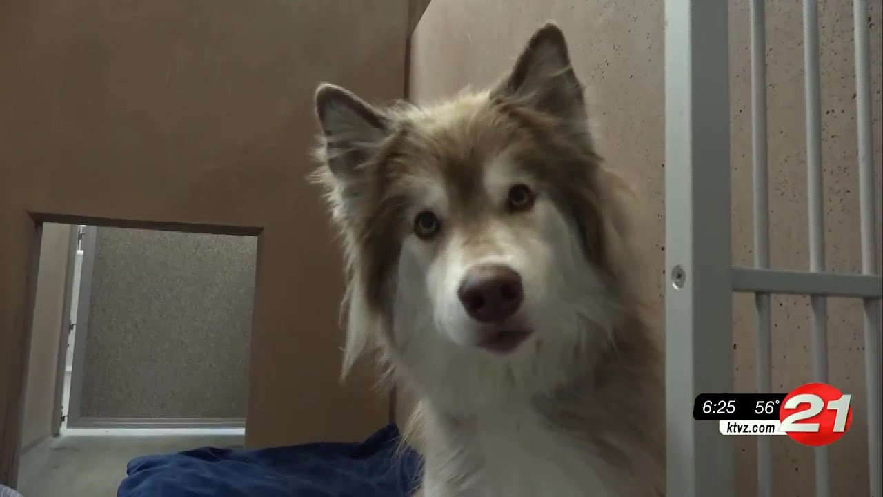 youtube placeholder image