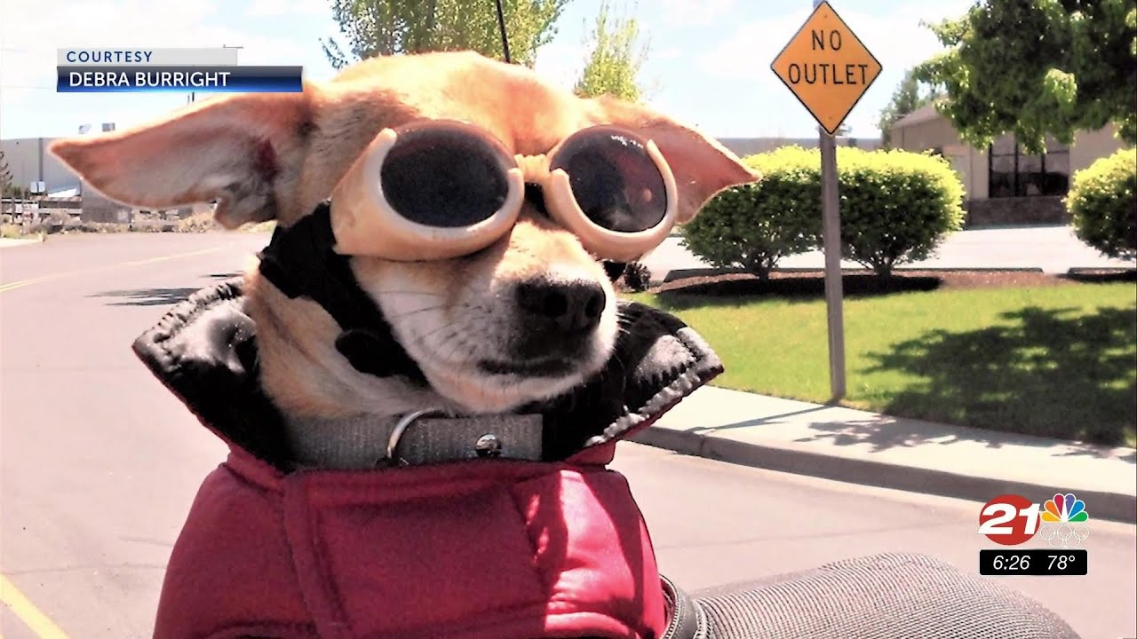 youtube placeholder image