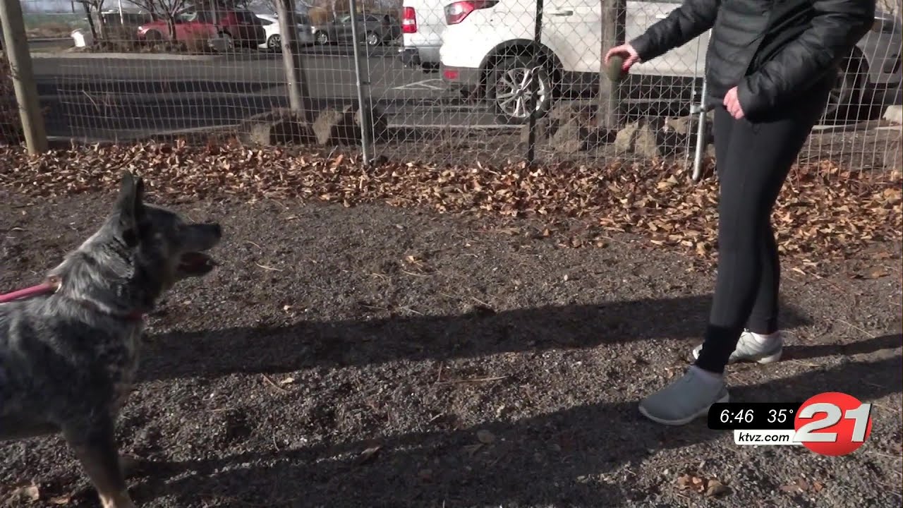 youtube placeholder image