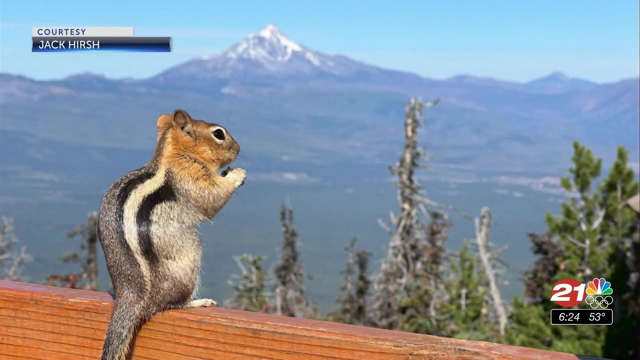 youtube placeholder image