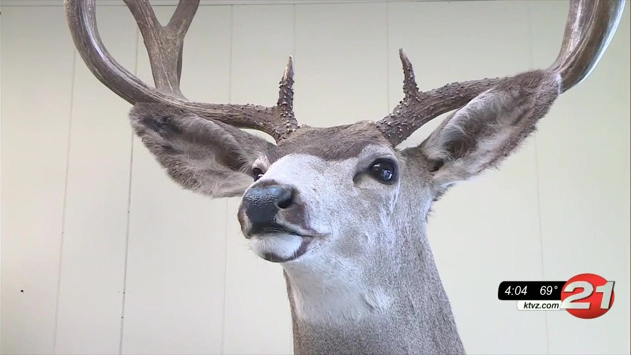youtube placeholder image