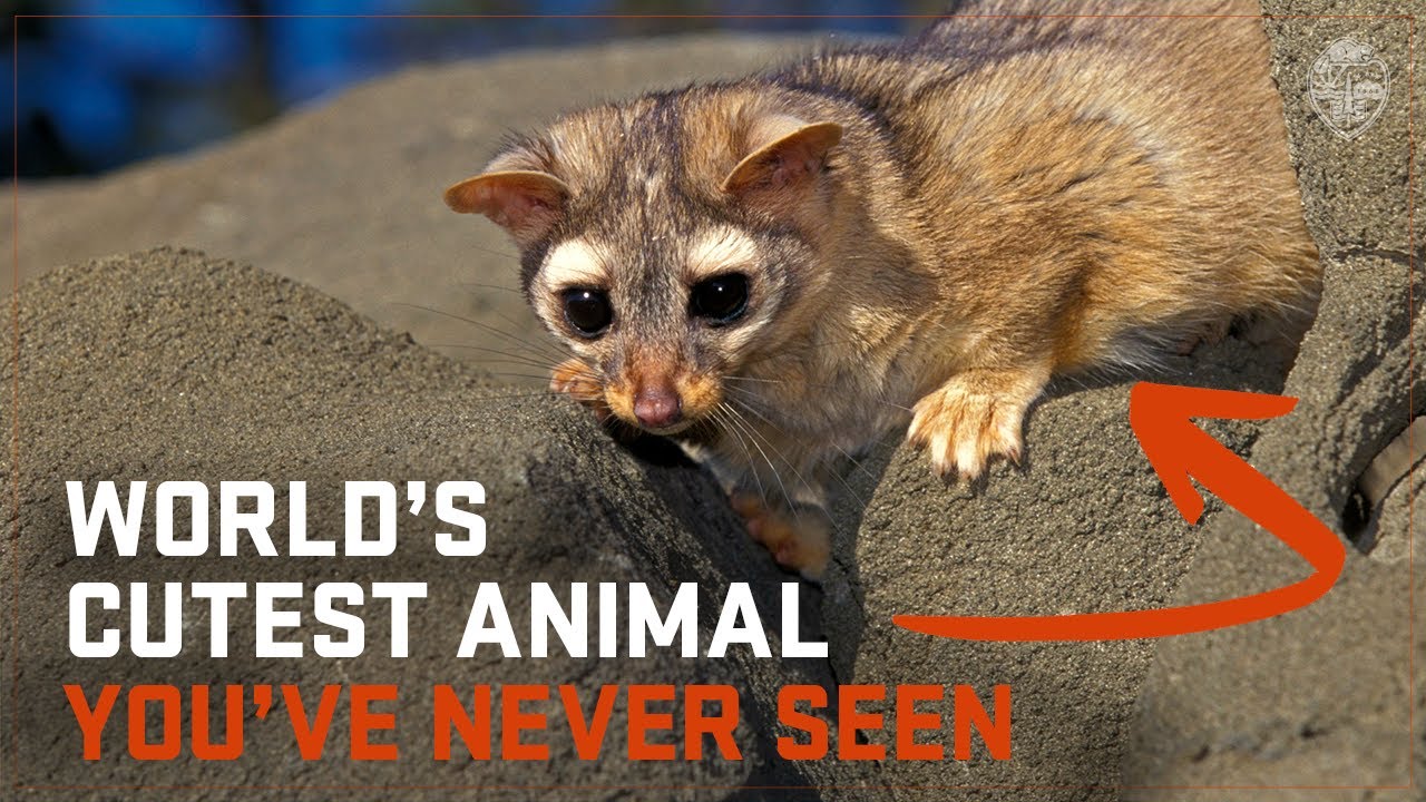 youtube placeholder image