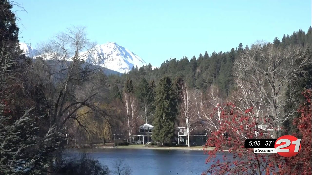 youtube placeholder image