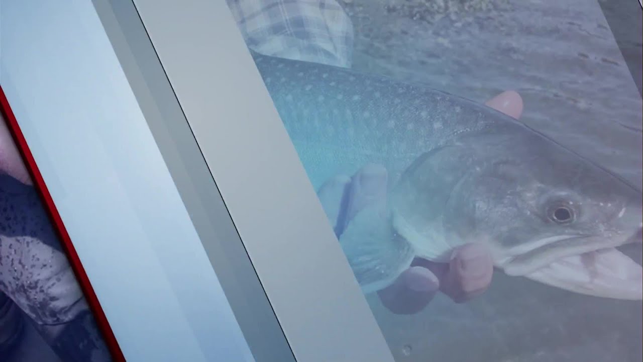 youtube placeholder image