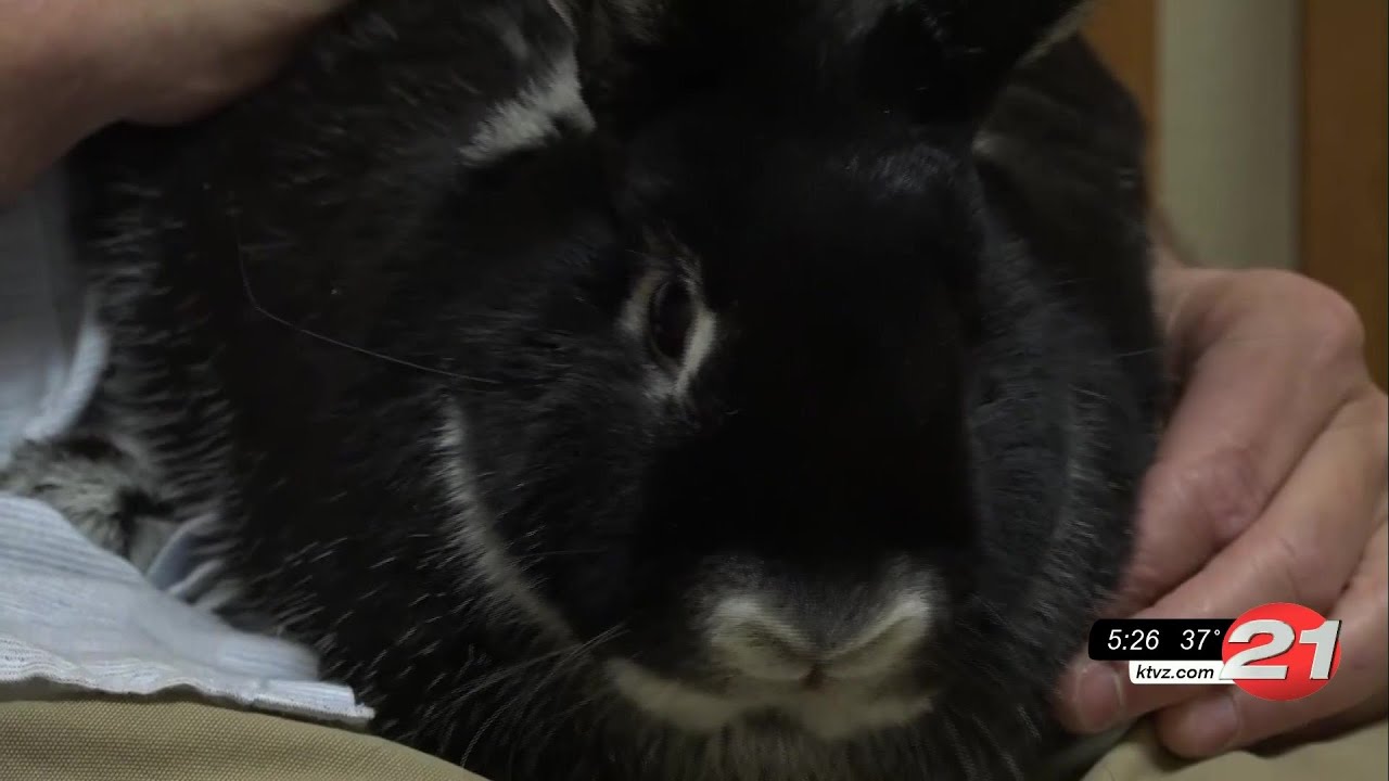youtube placeholder image