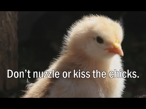 youtube placeholder image