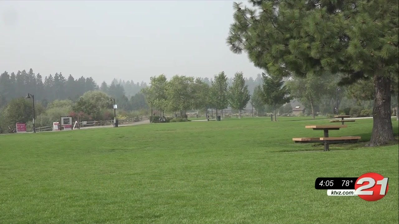 youtube placeholder image