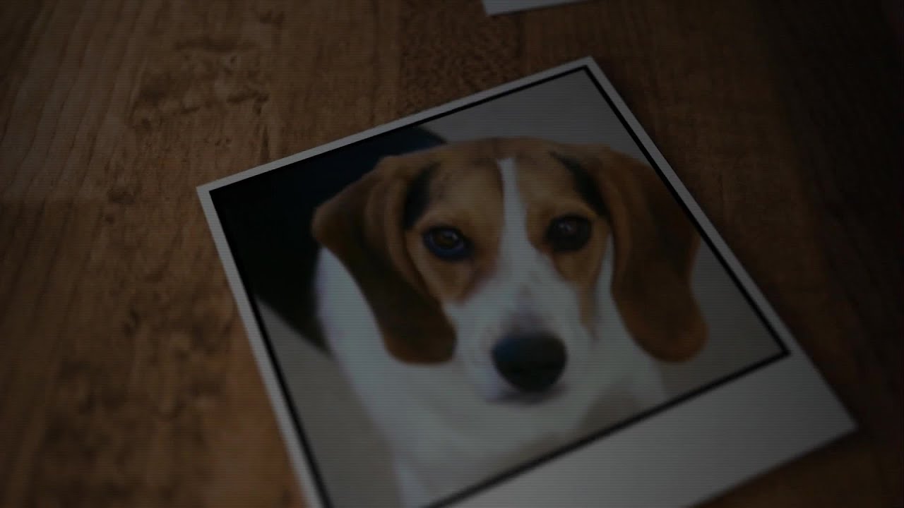 youtube placeholder image