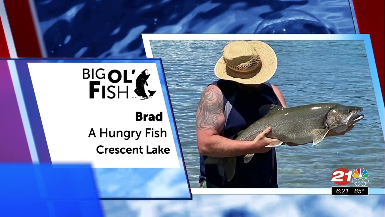 youtube placeholder image