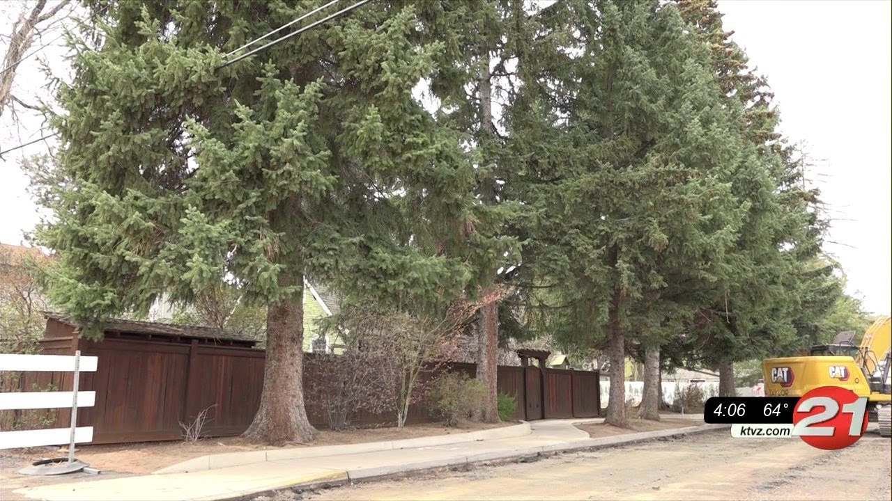 youtube placeholder image