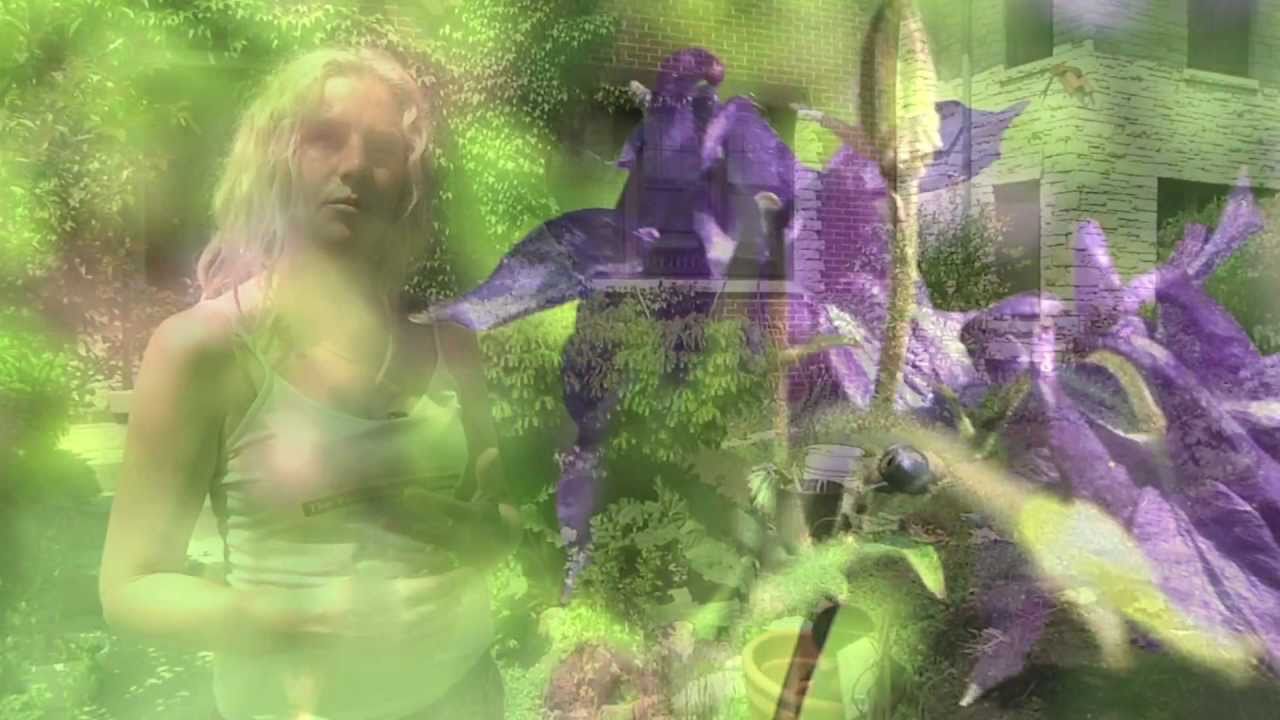 youtube placeholder image