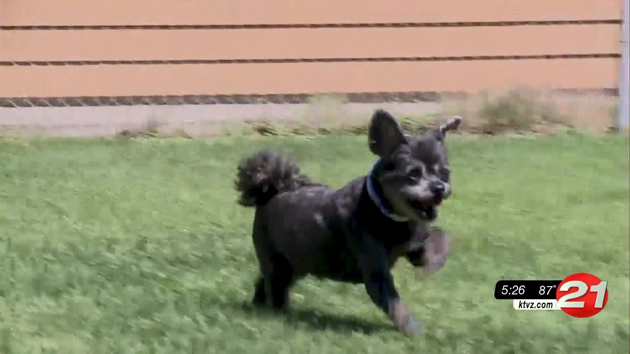 youtube placeholder image
