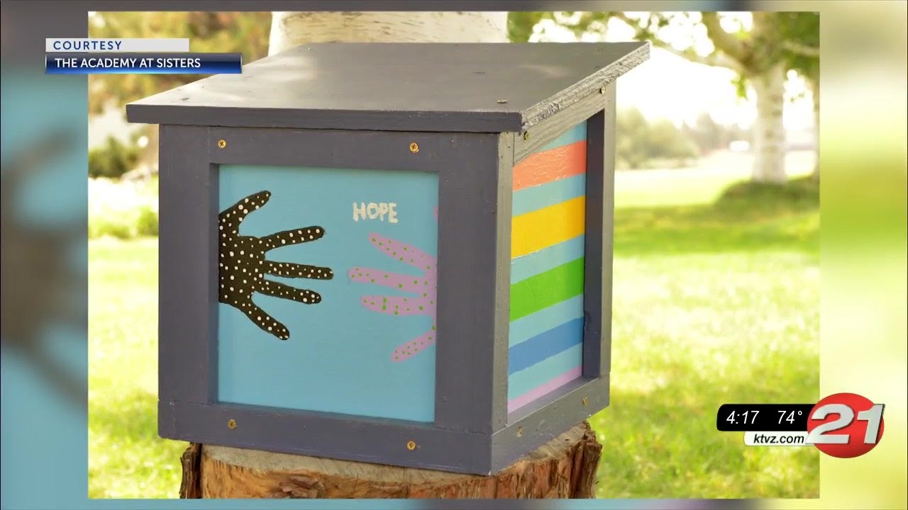 youtube placeholder image