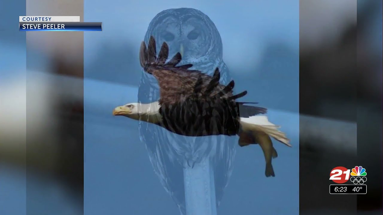 youtube placeholder image