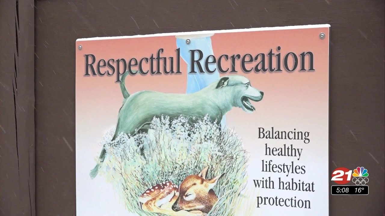 youtube placeholder image