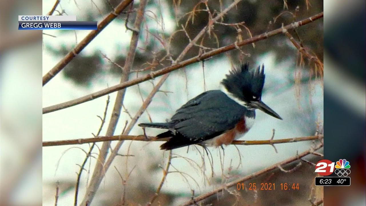 youtube placeholder image
