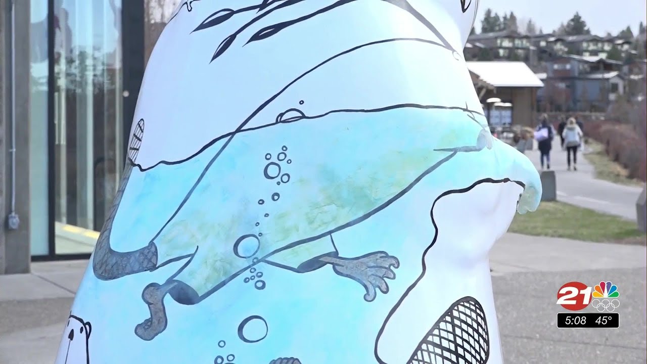 youtube placeholder image
