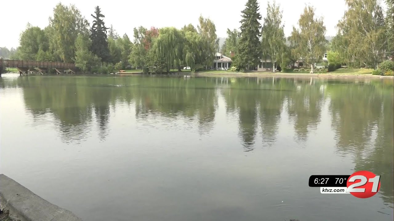 youtube placeholder image