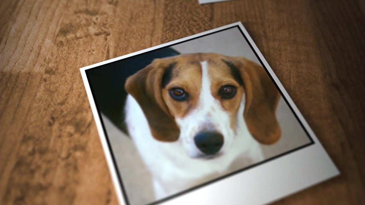 youtube placeholder image