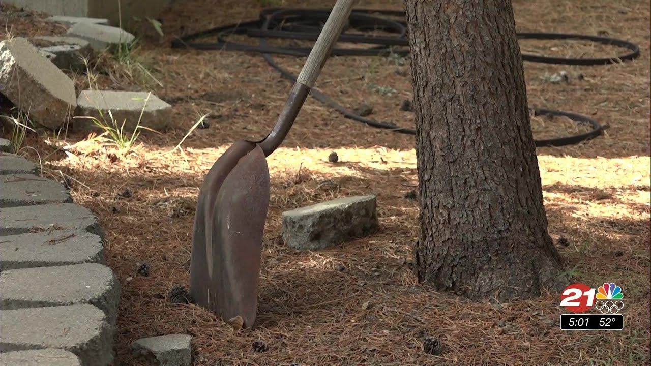 youtube placeholder image