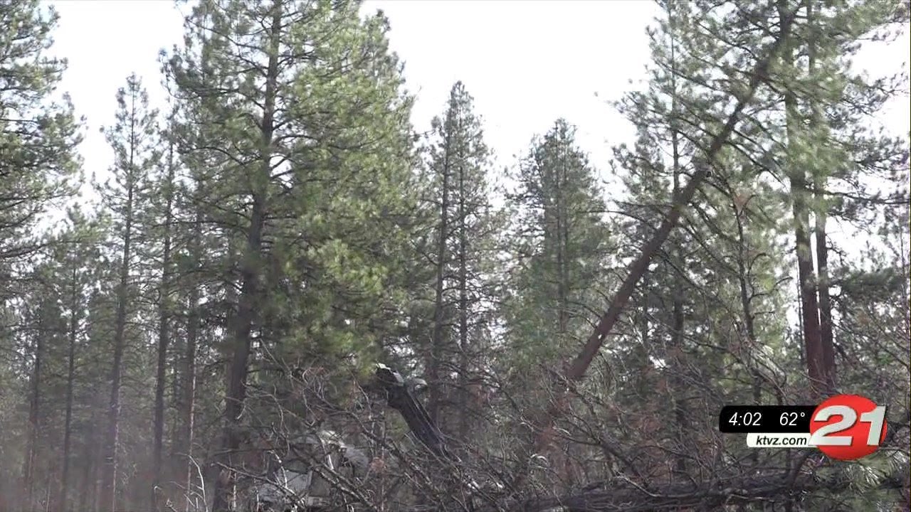 youtube placeholder image