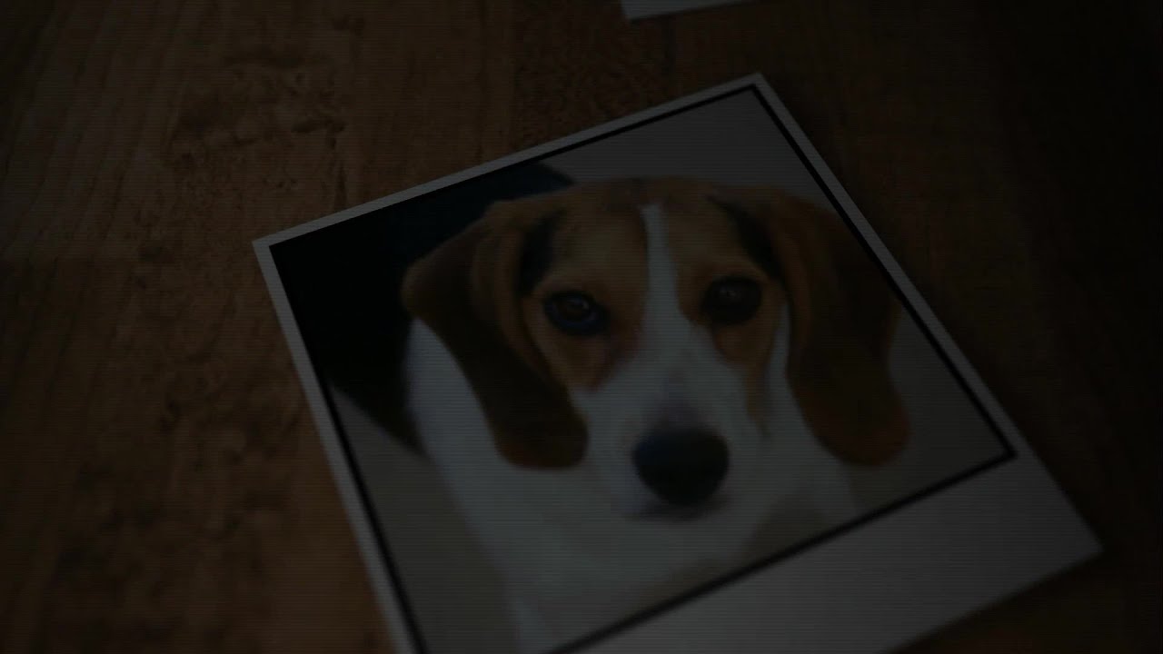 youtube placeholder image
