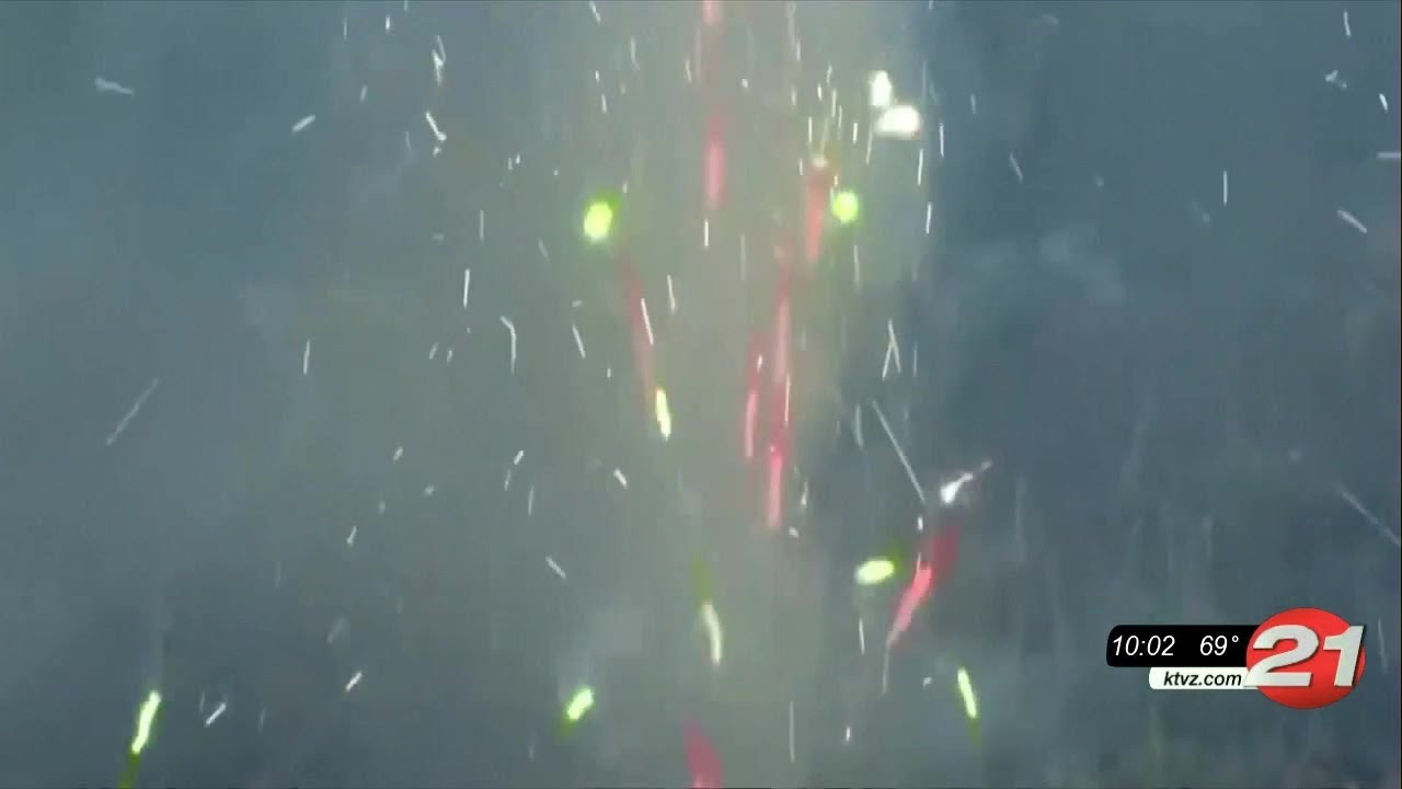 youtube placeholder image