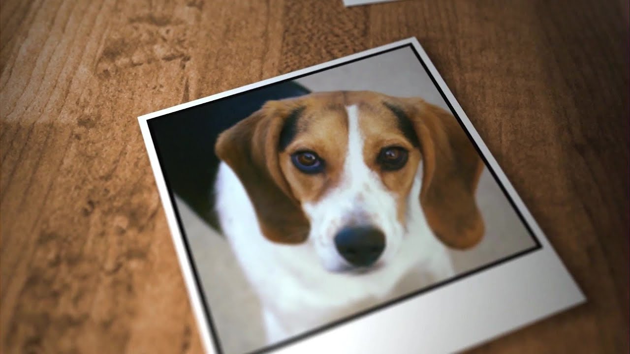 youtube placeholder image